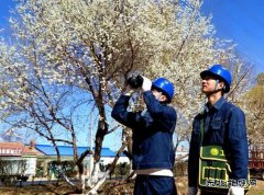 国网敖汉旗供电公司：青山灼灼巡线早 护航春灌保电忙