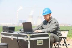 张雷：雏鹰展翅正高飞