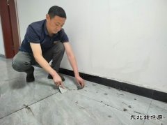 党员志愿者美丽矿山在行动