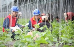 国网阿鲁科尔沁旗供电公司：电力赋能奏响乡村振兴“交响曲”