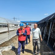 国网牡丹江东宁市供电公司：服务菌农 助力木耳产业用电安全