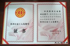 国网东宁市供电公司：荣获“牡丹江市工人先锋号”荣誉称号