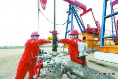 辽河冷家油田：稠油冷采 节能增产