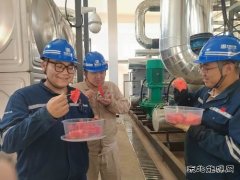 大唐葫芦岛热力公司：开出高温炙烤应对“凉”方
