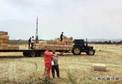 新疆油田油气储运公司：麦收正当时 伴农护管忙