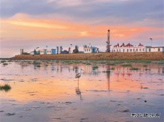 辽河油田：鹭栖 “金海”