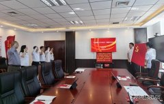 国网阿鲁科尔沁旗供电公司：开展主题党日活动