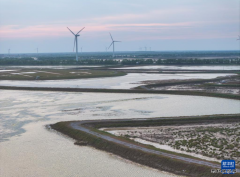 保护修复湿地生态 促进人与自然和谐共生