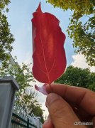 在平凡的生活中活在当下