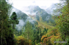 墨脱印记：雨林秘境与天堑之路