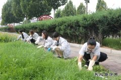 山西潞安焦化有限责任公司开展杂草清除活动