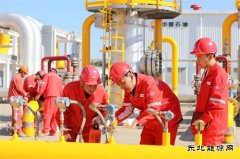 数智赋能 蓄足底气