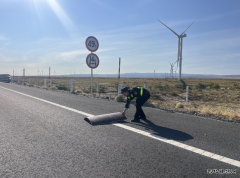 哈巴河执法大队：精细化巡查筑牢辖区公路安全防线