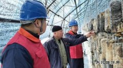 国网牡丹江东宁市供电：护航秋收保丰产 暖心服务助“耳”香