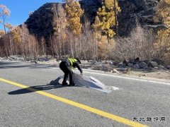 哈巴河执法大队：清理路面杂物，保障公路畅通