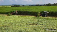 绥棱林业局公司：汉麻“废料”将变清洁完美体育 循环经济绘就产业新