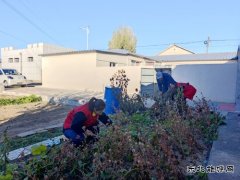 国网巴林右旗供电公司：庭院扫净映初心 舞姿翩跹暖桑榆