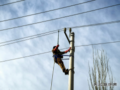 国网阿鲁科尔沁旗供电：全力冲刺！推进农配网工程建设进度