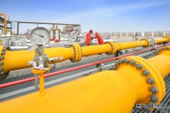 吉林油田双坨子储气库：聚焦设备 精细管理