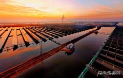 绿色“渔光曲”