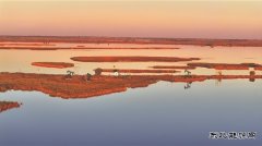 吉林油田：守护湿地 “朋友圈”