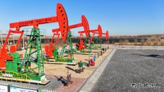 大庆油田采油一厂：精修细护攻坚百日上产