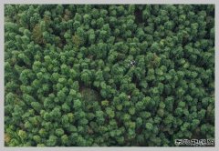 物资“飞”抵 数据“云”传