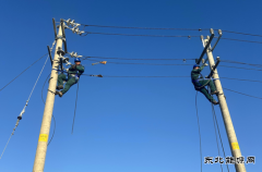 国网宁城县供电公司：创新“1+5”实训，赋能人才“三段式”培养